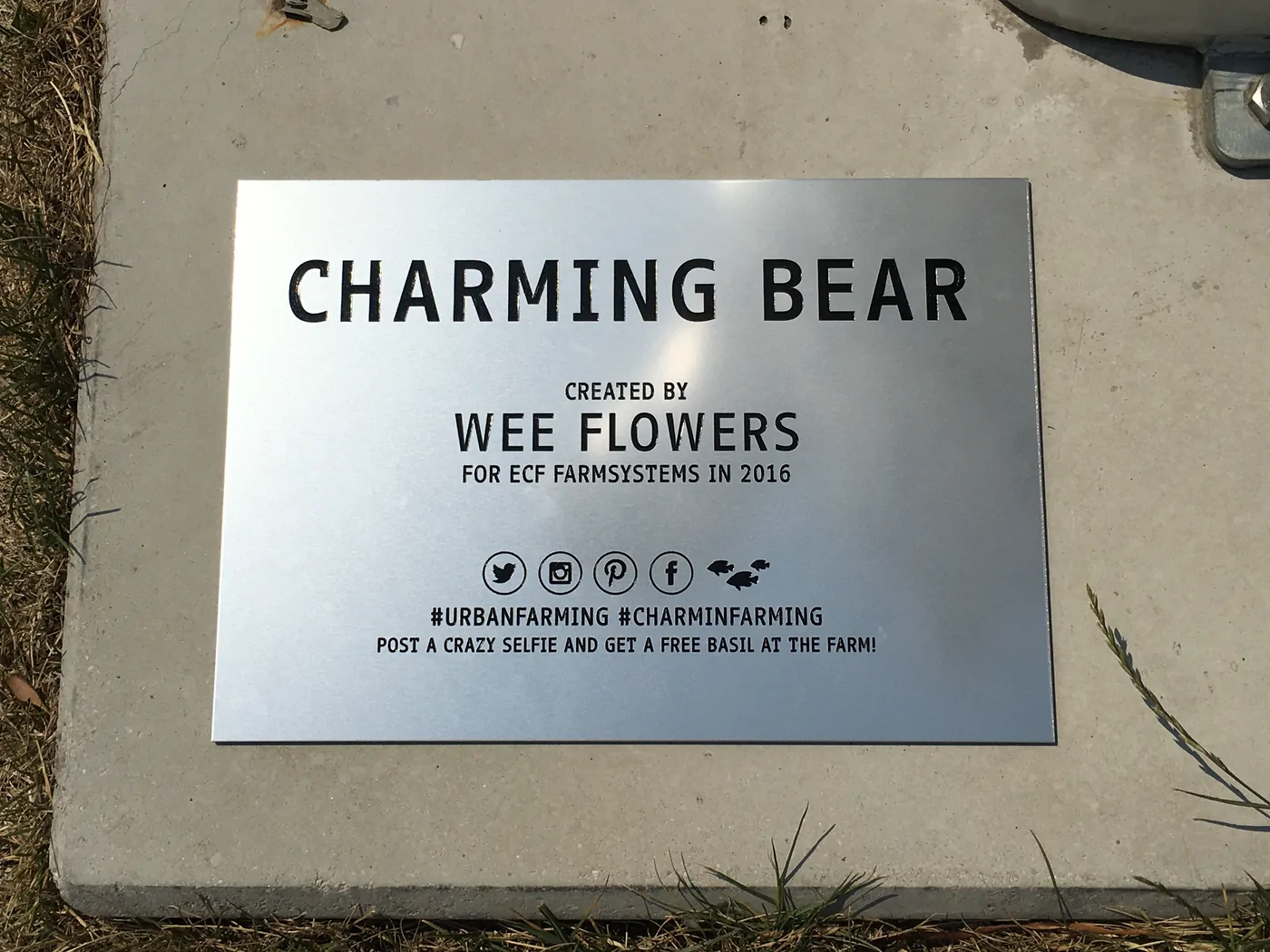 Charming Bear — Wee Flowers' Buddy Bear sculpture, overview